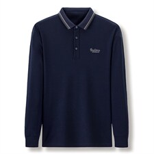 2023春秋季新款中年人爸爸装休闲套装商务长袖翻领T恤男上衣服，男装T恤，电商B212（原钱塘6029）