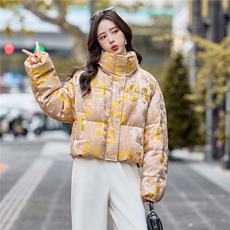 （bao款)现货提花立领短款羽绒服2025冬季韩版小个子加厚保暖外套，女装羽绒服，难舍钰依