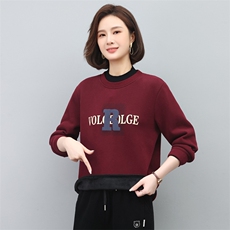 2022年秋季新款韩版半高领卫衣女长袖韩版加绒加厚印花上衣女秋冬，女装卫衣/绒衫，简韵佳
