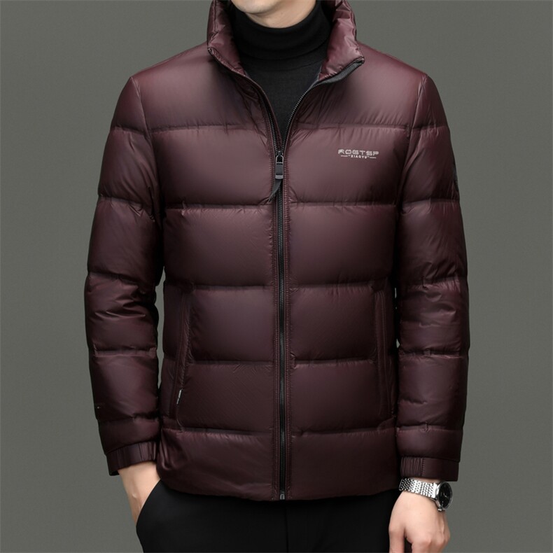 秋冬季白鸭绒羽绒服休闲男士短款加厚面包服立领保暖男潮服外套,男装羽绒服,钱塘6003（原4033）