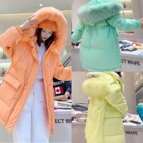 芭莉主角 BLZJ119226