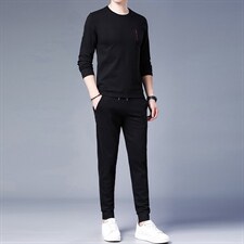 中年男休闲运动套装2023秋季刺绣潮流T恤两件套百搭时尚卫衣套装，男装休闲套装，电商B212（原钱塘6029）