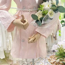 22春装新款进口面料尖领连衣裙，女装连衣裙，WOOSING