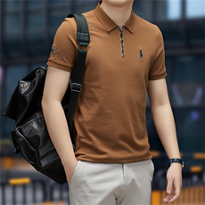 2023夏季新款男士短袖T恤polo衫中年商务休闲男装薄款翻领上衣男，男装Polo衫，电商B212（原钱塘6029）