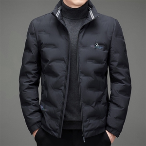 2023冬季新款立领羽绒服中年男士白鸭绒90%羽绒外套MSNA2201-P220图片