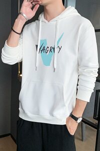 春秋季男士连帽印花卫衣长袖宽松套头衫运动上衣服潮流DF167T图片
