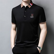 夏季新款2022翻领冰丝短袖t恤男商务休闲刺绣POLO衫半袖体桖男装，男装T恤，电商B212（原钱塘6029）