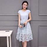 夏季淑女新款圆领短袖绣花套头优雅连衣裙，女装连衣裙，依恋蒂丝