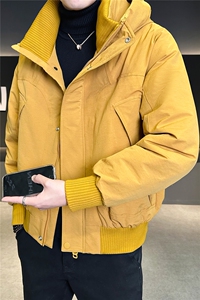 新标90绒 工装连帽羽绒服男冬季外套A313-25659-P315 控劵后398图片