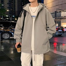 水泥灰