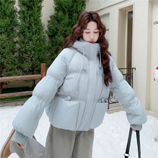 新款时尚连帽羽绒服A2566-P275-K415，女装羽绒服，2C261