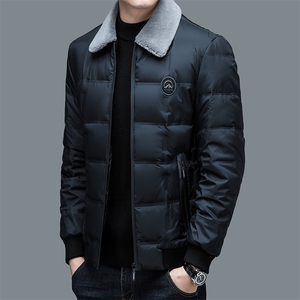 AC8909钱塘2020-3冬季羽绒服白鸭绒防寒保暖外套男加厚P215图片