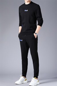 中年商务休闲运动套装男秋季爸爸装圆领刺绣套头卫衣中老年人男图片