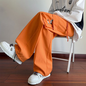 抖音品质腊肠狗刺绣口袋设计感休闲工装裤B315-K25309-特p35控68图片