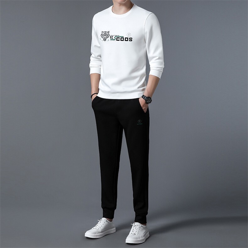 S3056-2钱塘2020-2秋季新款时尚休闲简约中青年男士长袖卫衣P137,男装休闲套装,钱塘207-2