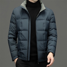 BEYR811钱塘2020-2中年男士冬季新款时尚立领百搭羽绒服P180，男装羽绒服，钱塘207-2