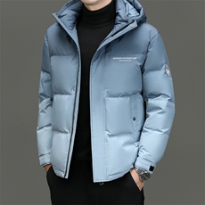 DF318331钱塘2020-2商务休闲立领百搭简约中年男士羽绒服P283，男装羽绒服，钱塘207-2