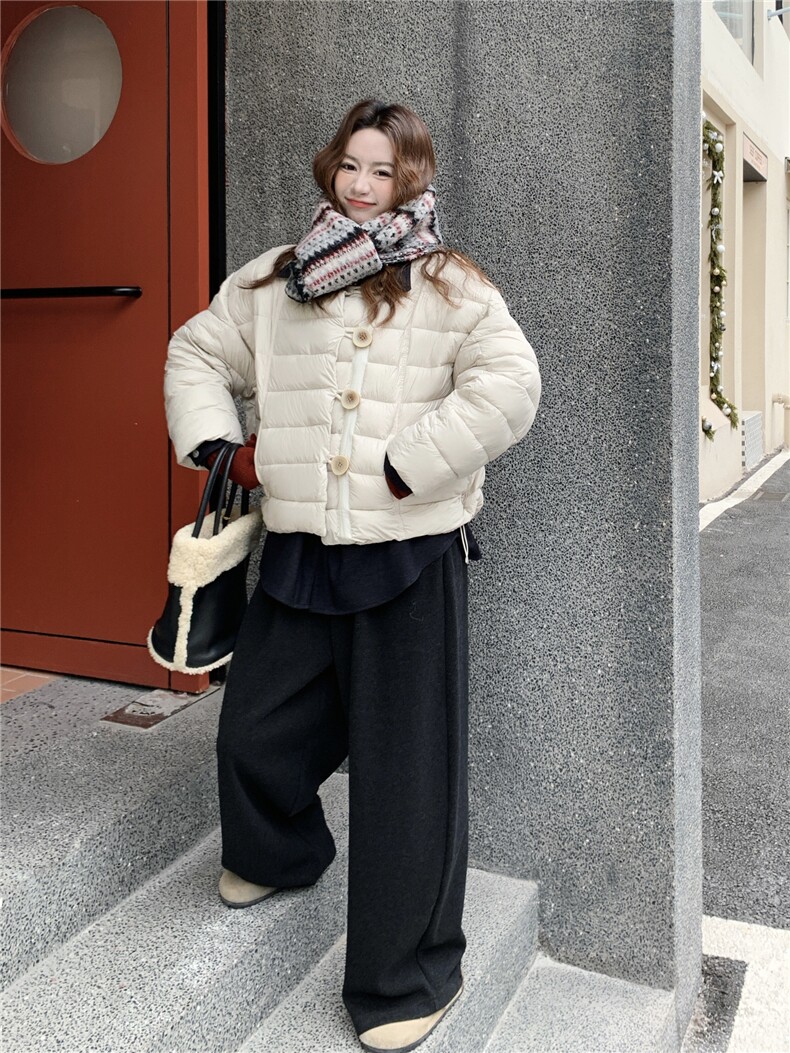 气质百搭小众简约风翻领羽绒服女冬2025新款洋气休闲轻薄保暖外套,女装羽绒服,艾米莉亚