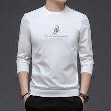 长袖上衣男士中年圆领薄款印花体恤韩版潮流休闲卫衣2023秋季新款，男装卫衣，电商B212（原钱塘6029）