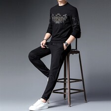 春秋季新款2022中年男士休闲运动套装男圆领长袖卫衣男两件套，男装休闲套装，电商B212（原钱塘6029）