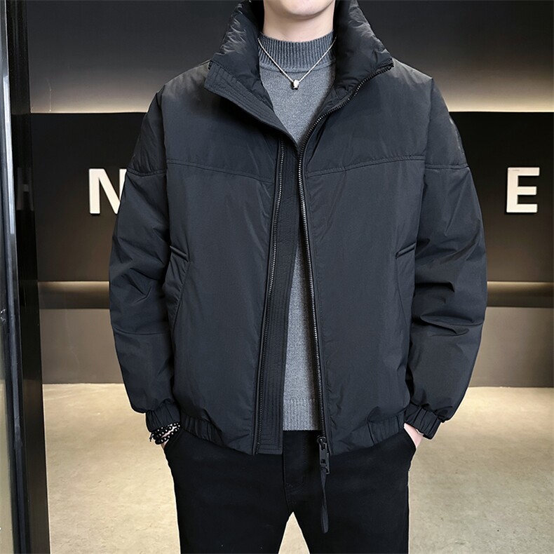 90新标2025冬设计款立领休闲加厚保暖宽松羽绒服外套5971-P295,男装羽绒服,电商A413