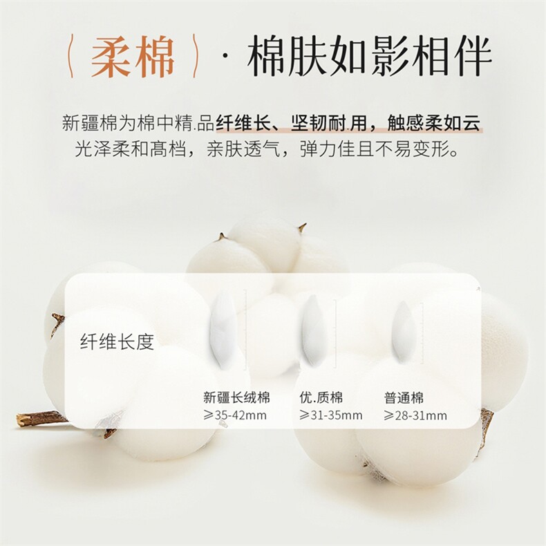 2025年秋季新款特厚棉花蓄片护颈时尚保暖加厚,饰品围巾,晨宏羊绒