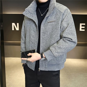 标50绒 轻薄立领羽绒服男冬季2025新款毛呢外套 A313-6669-P215图片