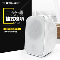 Jue ring family background music host set speaker wall mounted fixed resistance audio home wall hanging speaker JX-G52