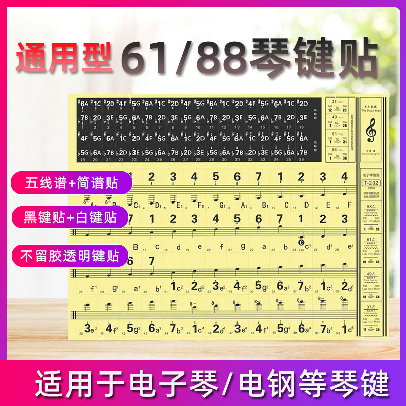 Piano keyboard stickers 61 keys 88 key electronic organ notes with five lines Spectral profiles The key stickers leave no glue
