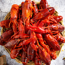 (Buy 2 Fat 3) Spicy Crayfish 9 Money 750g Heated Ready-to-eat Cooked Food Kit thirteen fragrant and spicy