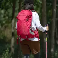 Роза красная 33л