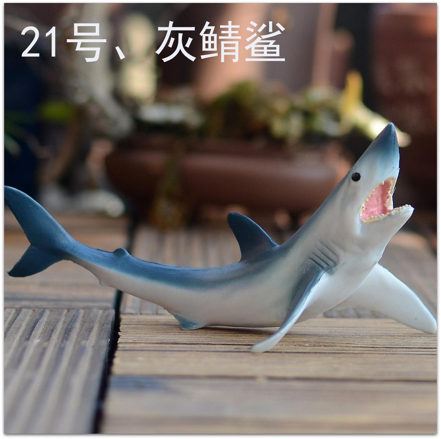 Marine animal simulation model Dolphin Sea Lion Toy Killer whale Great White shark Shark Penguin Blue Whale