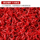 Свежий красный червь Egillery приманка