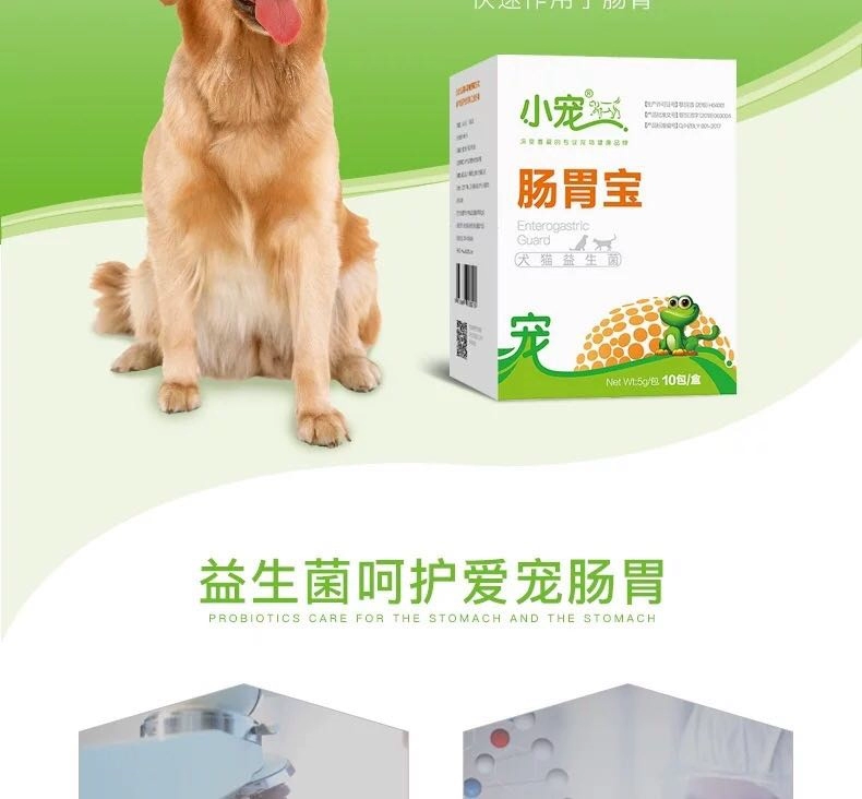 Thú cưng nhỏ điều hòa dạ dày thú cưng chó mèo Teddy Alaska quản trị kéo nôn nôn men vi sinh - Cat / Dog Medical Supplies