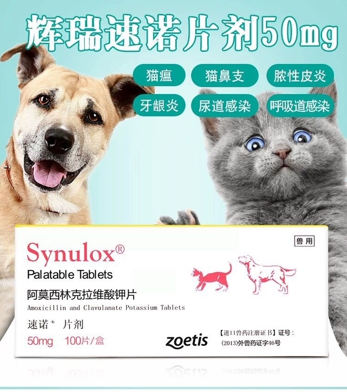 Toàn bộ hộp thuốc Pfizer sinuo 50mg cho chó cưng mèo chống viêm đường hô hấp viêm mũi thuốc mèo - Cat / Dog Medical Supplies