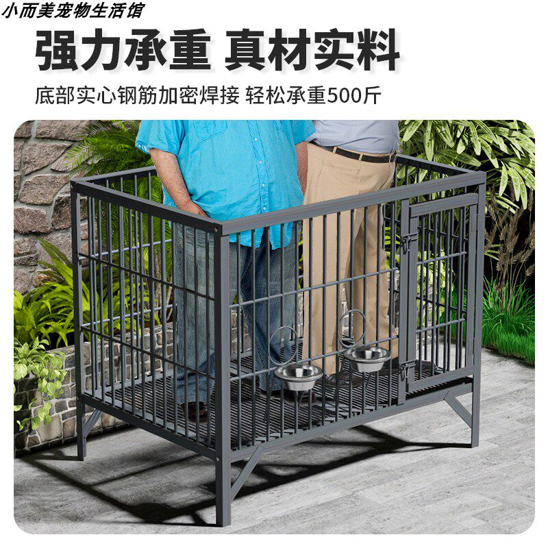 拉布拉多养不起？揭秘隐藏真相，普通家庭也能轻松搞定！