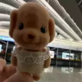 Семейная семейная кукла Сенбиера кукла Сенбеер Кудель Маленькая Нос Собака Сенбиер собака