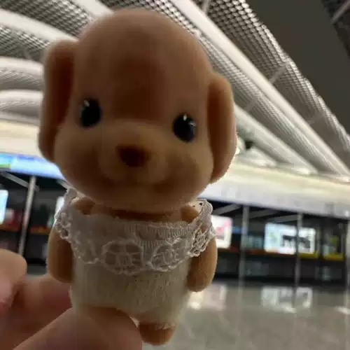 Семейная семейная кукла Сенбиера кукла Сенбеер Кудель Маленькая Нос Собака Сенбиер собака