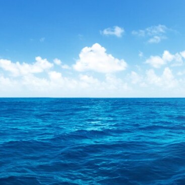 海千食海产干货