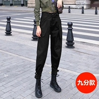 Черный ростомер, осенний, 162см