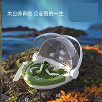 Silkworm Baby House Case Silkworm Eggs Students Upscale High Overdraft Raising and Breathable Exclusive Cultivation Raising Suitcases Big Transparency