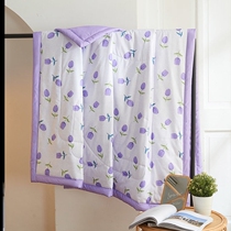 Kindergarten Quilt Spring Summer Cool Quilt Cool silk thin and light thin fiber quilted by air conditioning student fluffy nap
