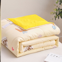 Kindergarten Quilt Spring Summer Cool Quilt Cool silk thin and light thin student washed cotton double little fresh and cute