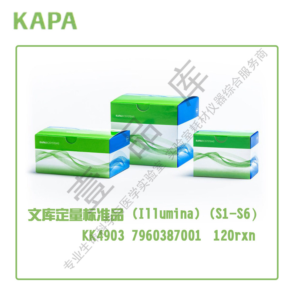 Roche KAPA Quantitative Standard Product (Illumina) (S1-S6 120 Reaction) KK4903