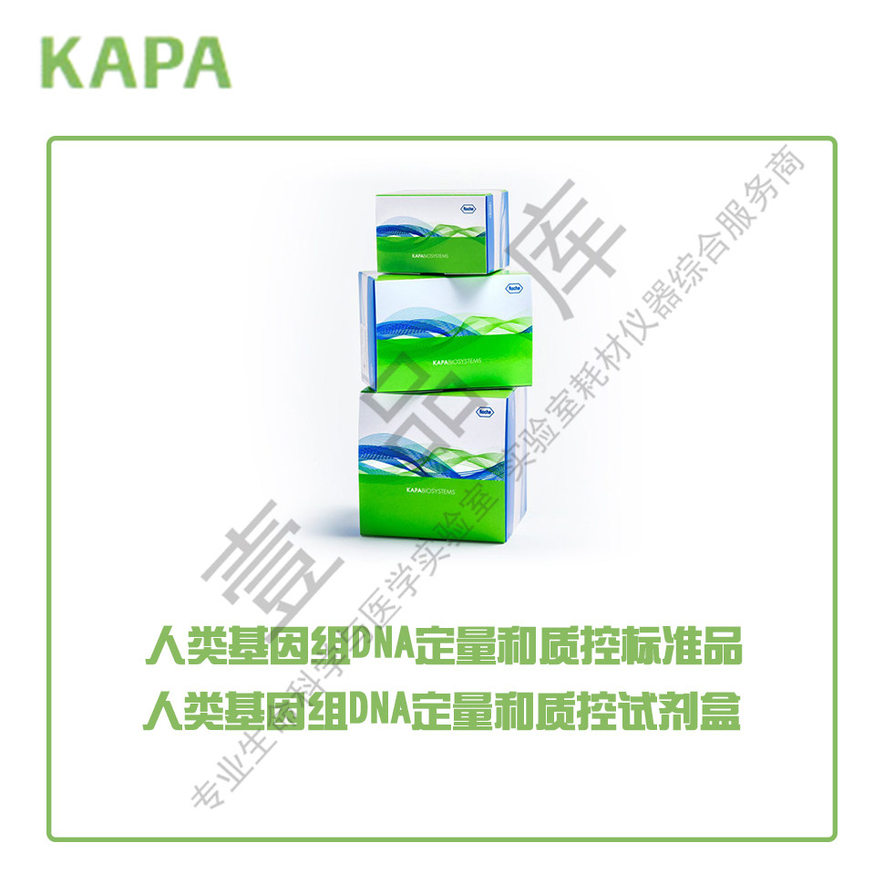 KAPA Roche Human Genome DNA Quantitative and Quality Control Reagent Box Standard Product KK4960