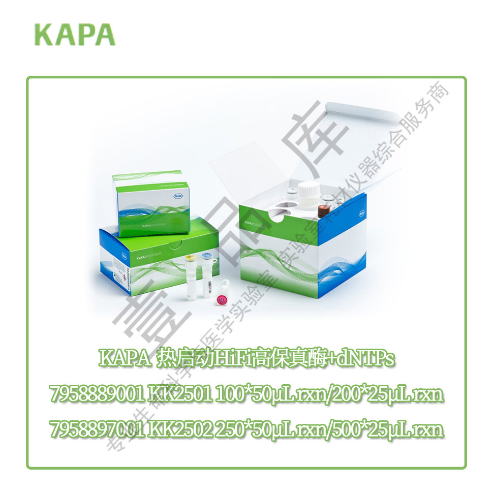 KK2501 KK2502 KAPA Roche DNA polymerase Thermal Start HiFi High Fidelity Enzyme dNTPs
