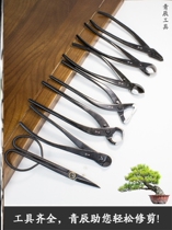 Spherical Cut Pruner Professional Round Mouth Tree Knuckle Ball Festival Flower Arrangement Making Florist scissors Large number of cut tree Leaf bud pliers