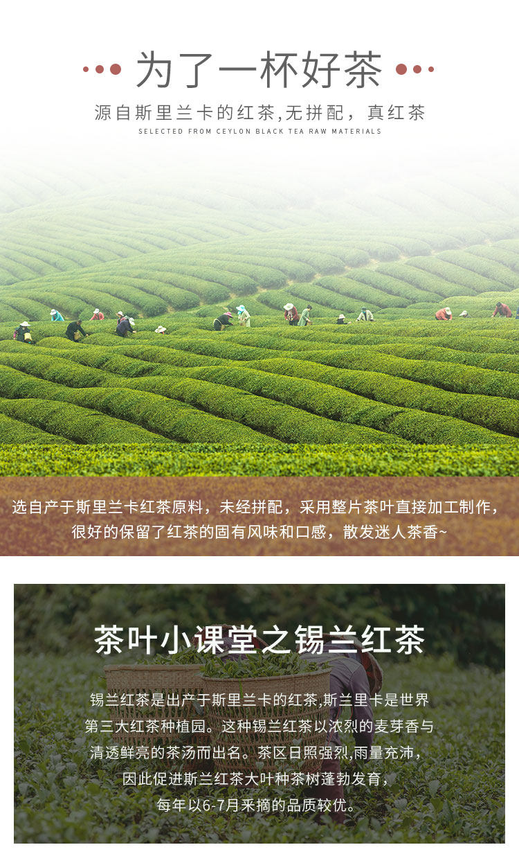 Guangxi Ceylon Black Tea_02.jpg