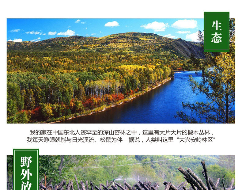 Северо -восточный черный гриб_03.jpg