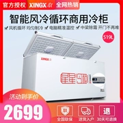 Tủ đông lớn XINGX / Star BD / BC-519E Tủ đông thương mại Tủ đông lớn Tủ lạnh lớn Tủ lạnh đơn nhiệt độ ngang - Tủ đông